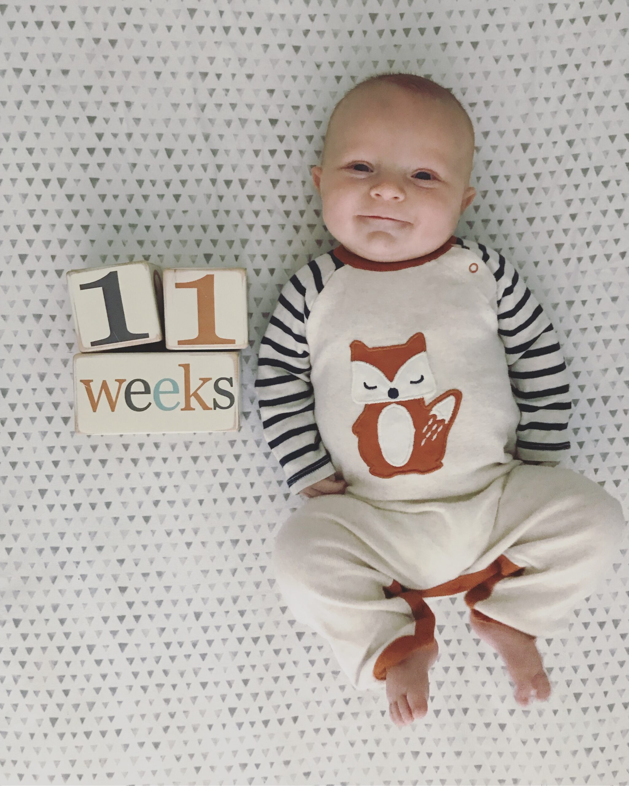 An infant lays beside blocks that read 11 weeks in a photo for a baby book.